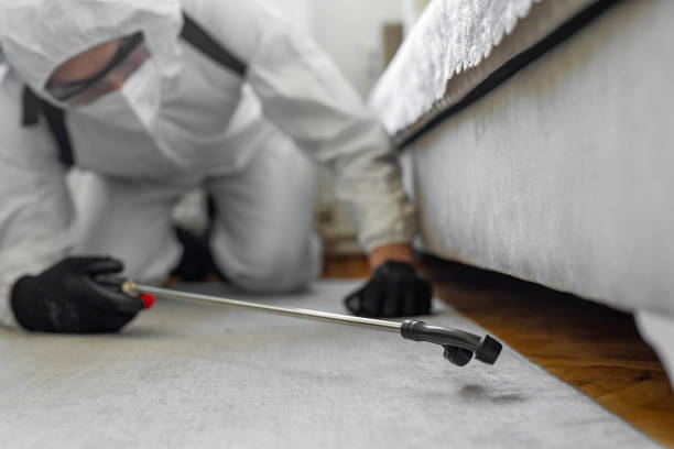 Professional Termite Control technician working in North Madison, OH
