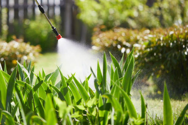 24/7 Emergency Termite Control experts in North Madison, OH