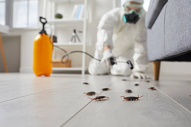 Trusted Termite Control service in North Madison, OH - Nex Pest Control