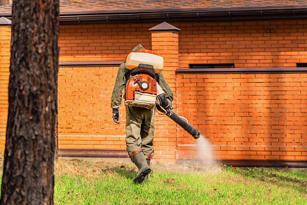 Trusted Cockroach Control service in North Madison, OH - Nex Pest Control